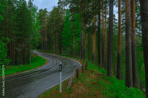 Road and forest in the Punkaharju ridge photo