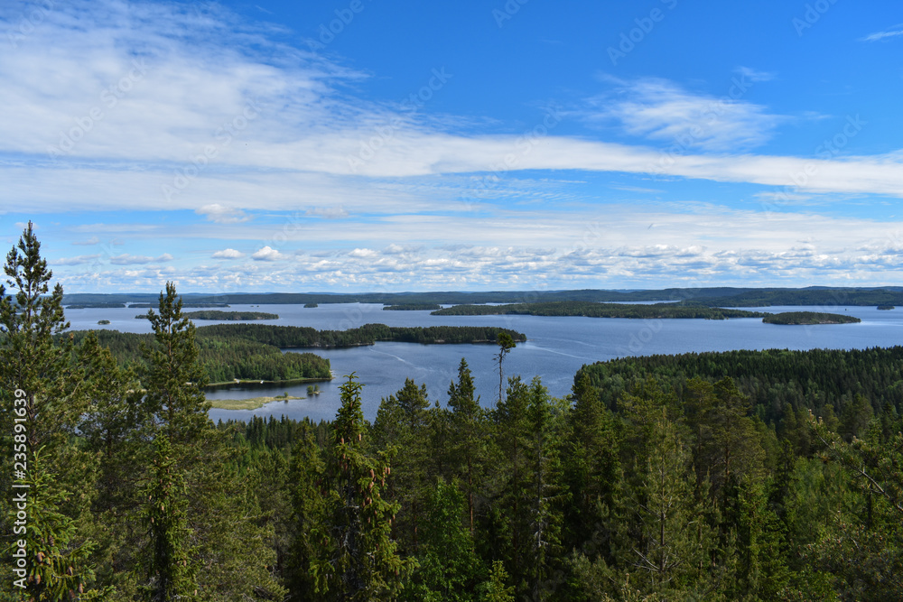 Pine trees and islands surround Lake Päijänne, the second largest lake in Finland.