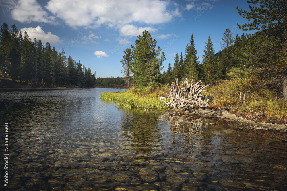 Obraz premium landscape, Altai, Russia