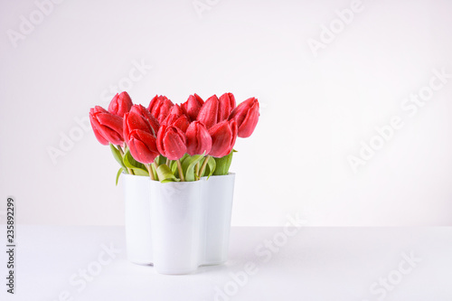 Fototapeta Naklejka Na Ścianę i Meble -  Fresh pink / red tulips with water drops in a modern white vase, on a white background with copy space.
