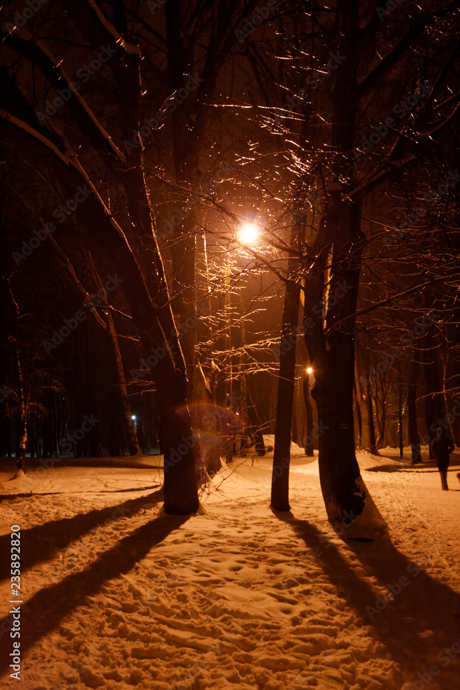 Lampa uliczna w zimie, światło odbija się od oblodzonych gałązek.