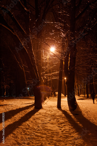 Lampa uliczna w zimie, światło odbija się od oblodzonych gałązek. © Miroslaw