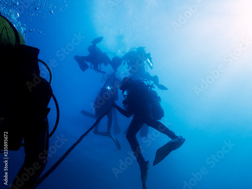 divers making a safety stop near the surface