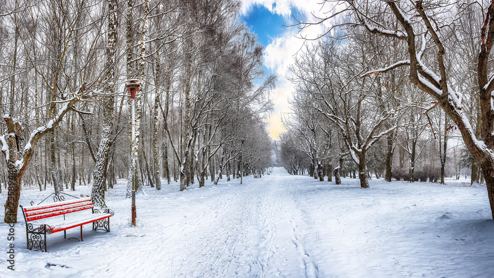 Park bench and trees covered by heavy snow Park bench and trees covered by heavy snow