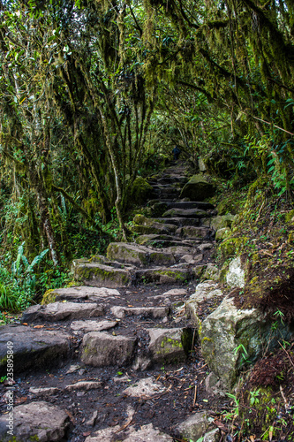 Stairs on the way to the the Machu Picchu Inca citadel in Peru