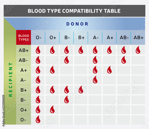 Tableau de Compatibilité des différents Types de Groupes Sanguins - Donneur et Receveur - Diagramme
