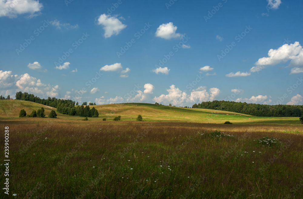 white clouds float on the blue sky over the green agricultural field where harvest hay white clouds float on the blue sky over the green agricultural field where harvest hay