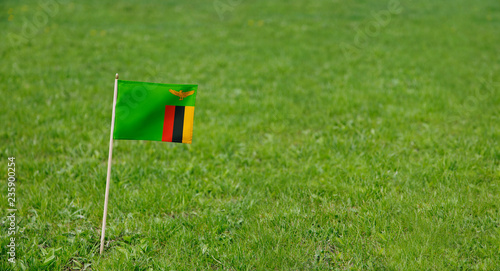 Zambia flag. Photo of Zambia flag on a green grass lawn background. Close up of national flag waving outdoors.