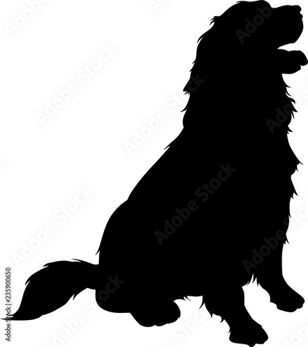 Sitting golden retriever vector silhouette