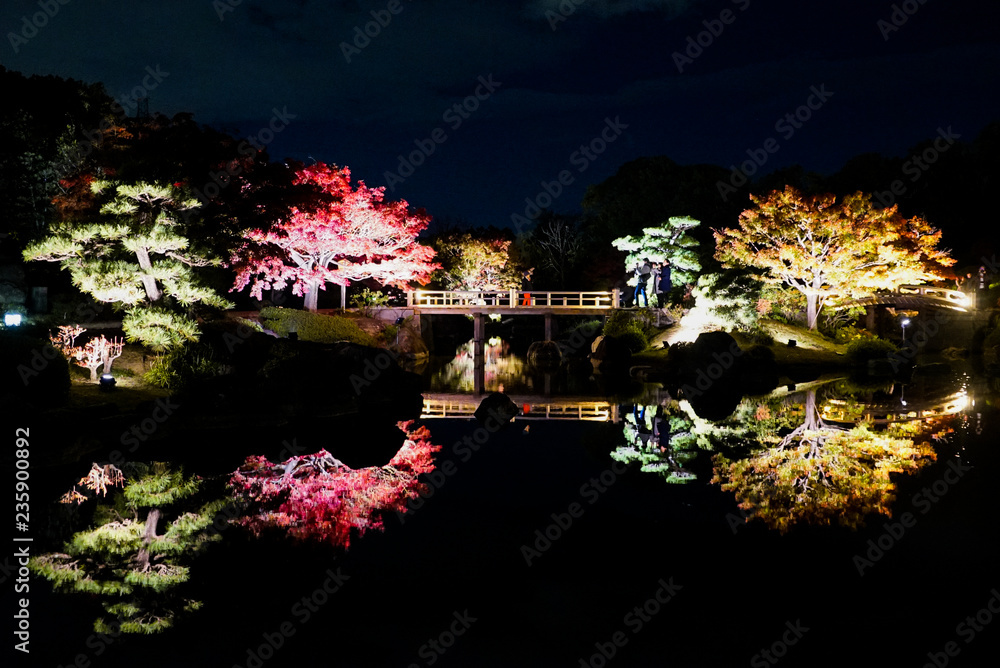 Lighten Up Autumn Leaves at Night in Kyoto Lighten Up Autumn Leaves at Night in Kyoto