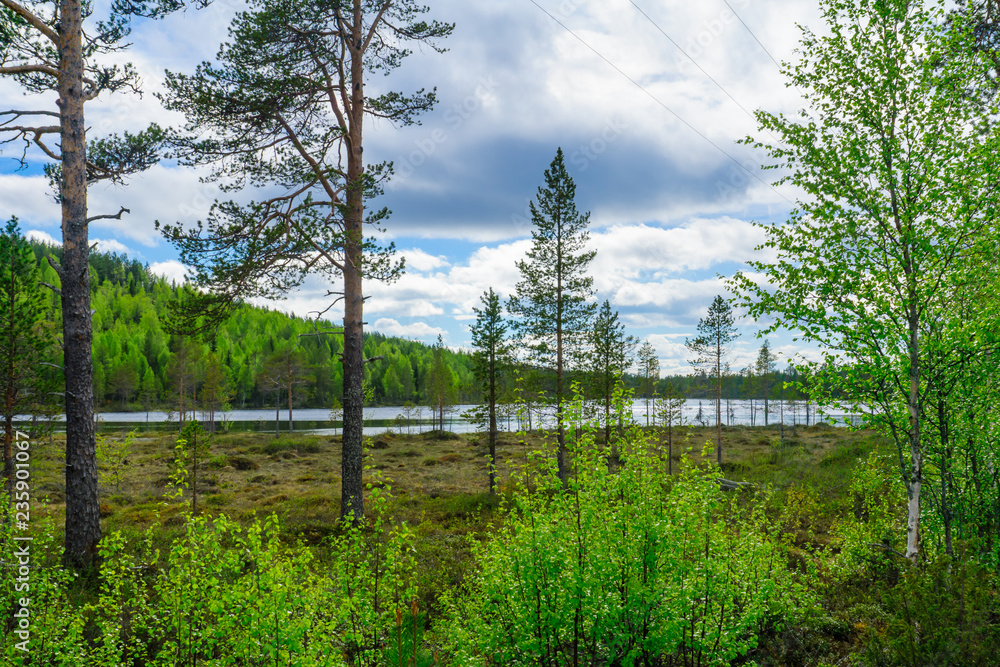 Obraz premium Landscape of the Kuntijarvi lake