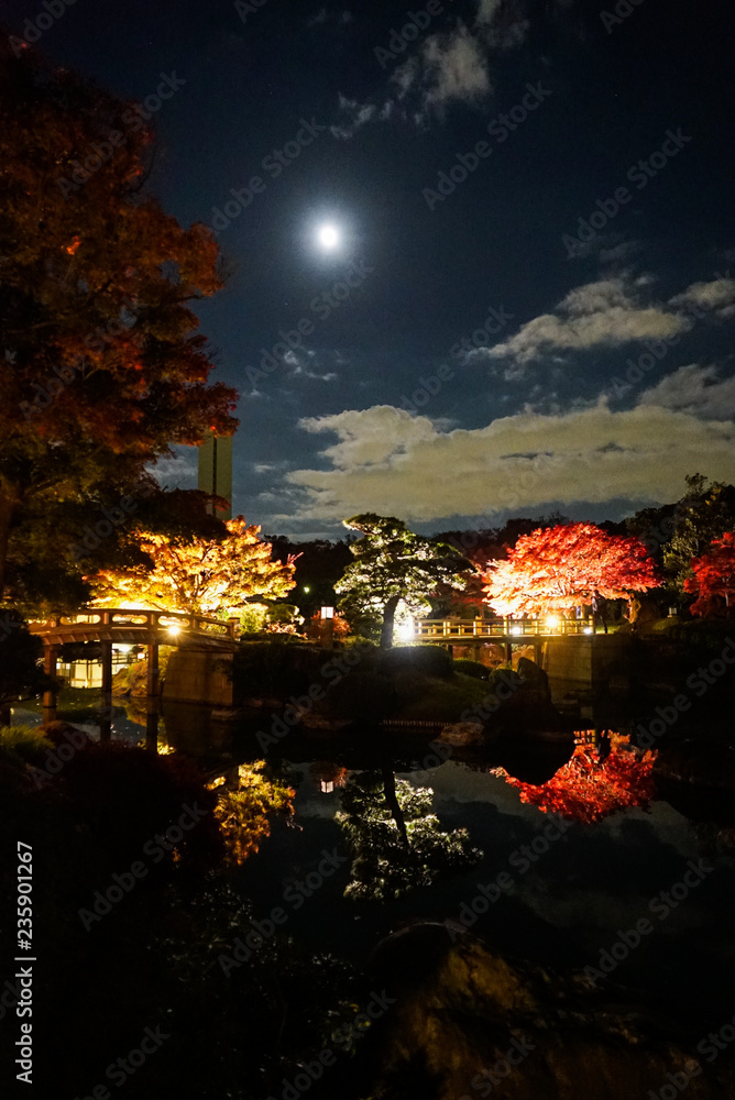 Lighten Up Autumn Leaves at Night in Kyoto