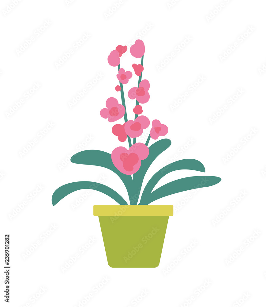 Houseplant in Flowerpot Isolated Cartoon Banner
