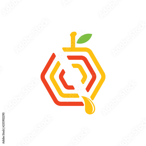 hexagonal sweet honey fruit logo vector