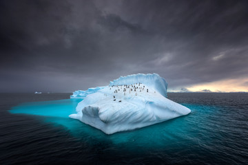 Poster Antarctica Pinguïns op reusachtige ijsberg  © Michail