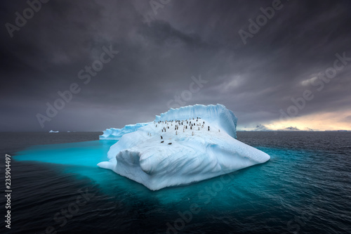 Penguins on a giant iceberg in Antarctica photo