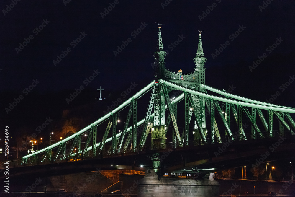 Obraz premium Liberty Bridge. Night view