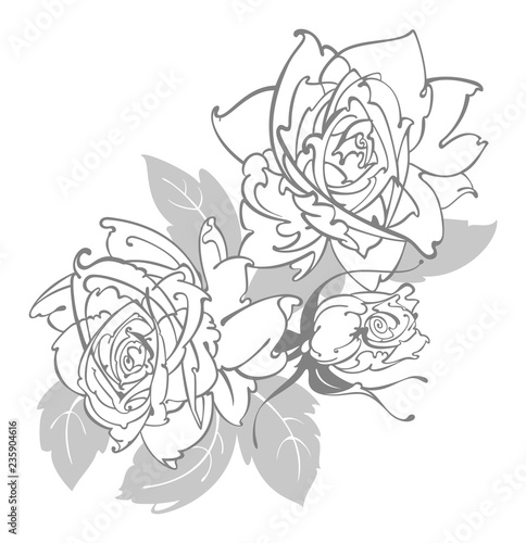 Roses line drawing