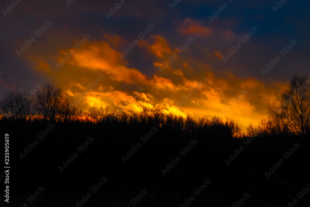 Glow of fire over the wild forest. The sky lit by the flame of burning.