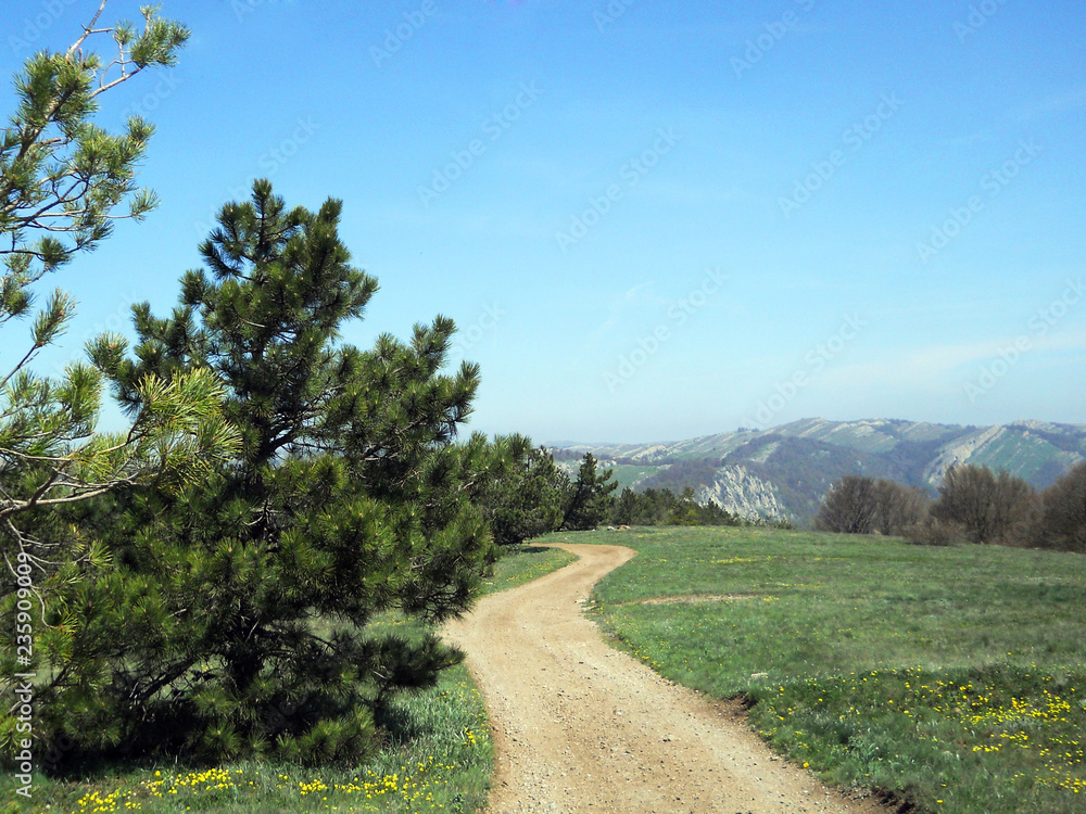 Beautiful mountain landscape with yellow hiking trail on a flowered field. Crimean mountains at spring.