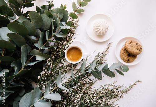 Delicious fresh morning espresso coffee in a white little cup with a saucer, white marshmallow and chocolate chip cookies with green eucalyptus branches on the white background, top view, flat lay