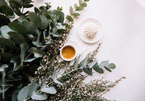 Delicious fresh morning espresso coffee in a white little cup with a saucer, white marshmallow, green eucalyptus branches on the white background, top view, flat lay