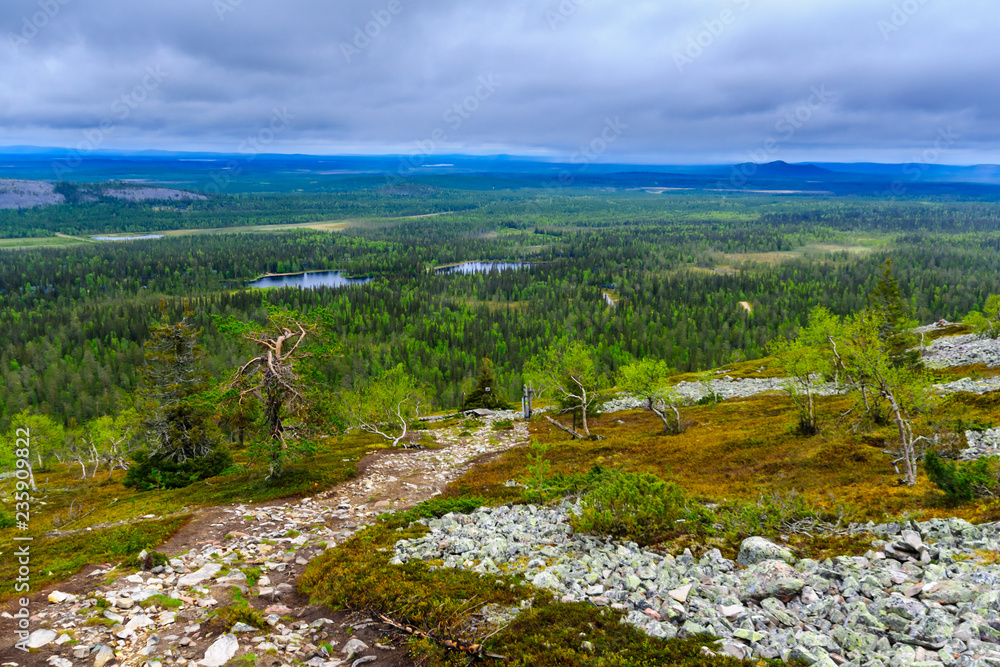 Ukko-Luosto Fell, in Pyha-Luosto National Park