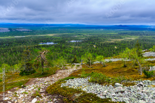 Obraz na płótnie Ukko-Luosto Fell, in Pyha-Luosto National Park w salonie