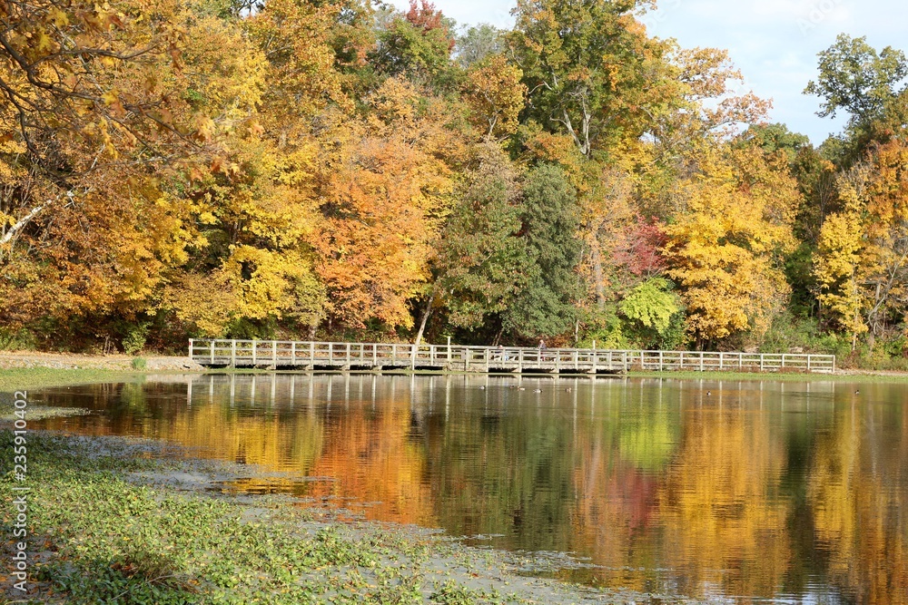 The bright colors of the autumn trees and the reflections off the lake. The bright colors of the autumn trees and the reflections off the lake.