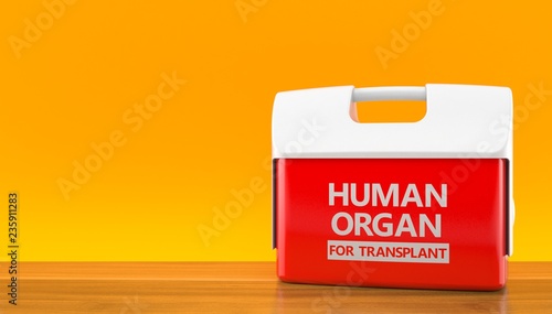 Tableau sur toile Cooler for human organ on orange background
