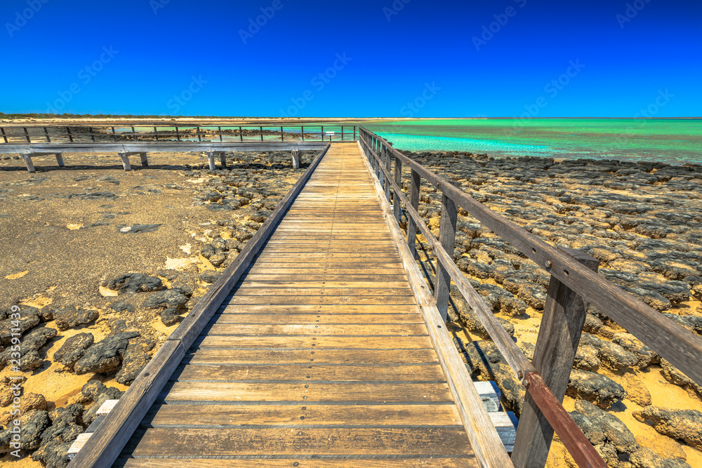 Point of view of wooden walkway at Hamelin Pool Stromatolites, a protected Marine Nature Reserve in Shark Bay, Western Australia. Sunny day with blue sky. Copy space.