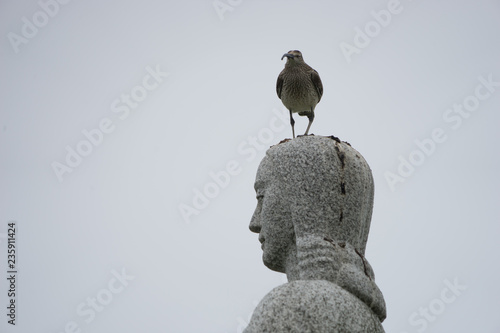 Statue „Landsýn“ mit Bekassine auf dem Kopf beim alten Friedhof der Strandarkirkja - Engelsbucht (Engilsvík) / Island photo