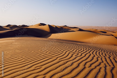 Fototapeta Naklejka Na Ścianę i Meble -  Sand dunes in desert landscape