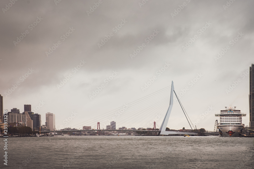 Erasmus bridge and city scape of Rotterdam