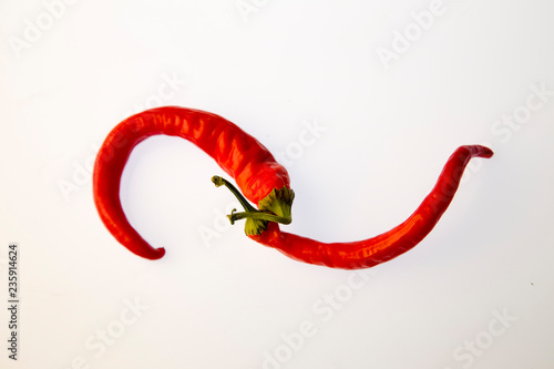 Red pepper on white isolated background. Pattern