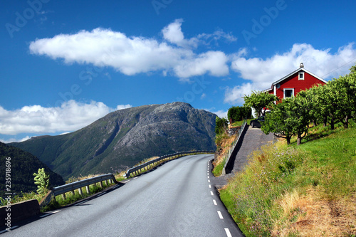 Fruit gardens and coastal road along the Hardanger fjord, Hordaland county, Norway. photo