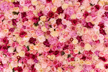 Many various pink, red and white flowers abstract pattern backgrounds