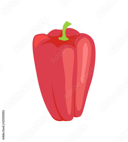 Pepper Raw Fresh Vegetable Vector Illustration