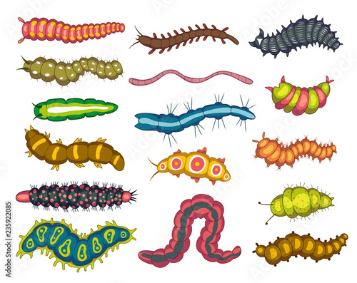Worms and maggots insects, bright nature set
