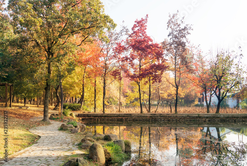 the autumn in the park of Suzhou  China