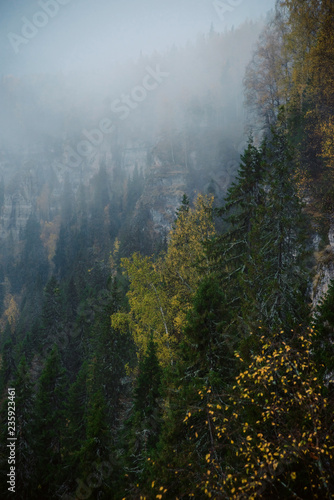 Autumn landscape: fog over the forest and river, top view. The concept of traveling in the wild.