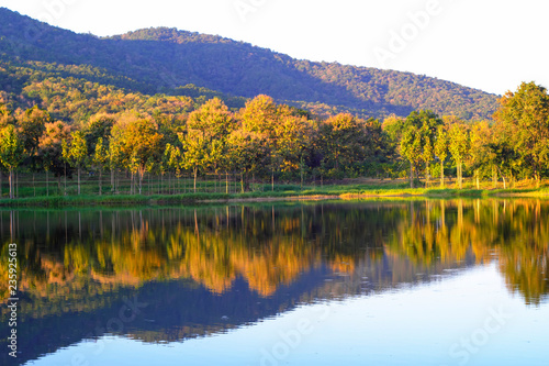 The trees and the mountains have a reflection of the lake. 
