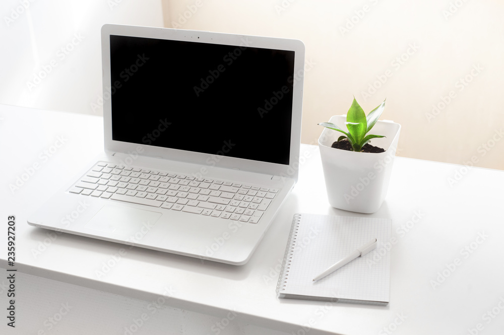 completely white modern workspace with laptop, notepad, plant and pen completely white modern workspace with laptop, notepad, plant and pen