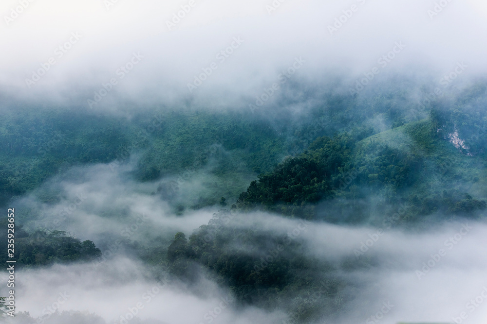 Beautiful morning panorama of forest covered by low clouds. Colored sunrise in forested mountain slope. Beautiful morning panorama of forest covered by low clouds. Colored sunrise in forested mountain slope.