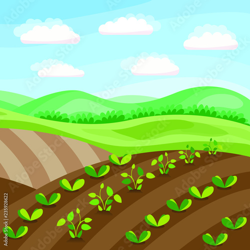 Growing plants, rural landscape