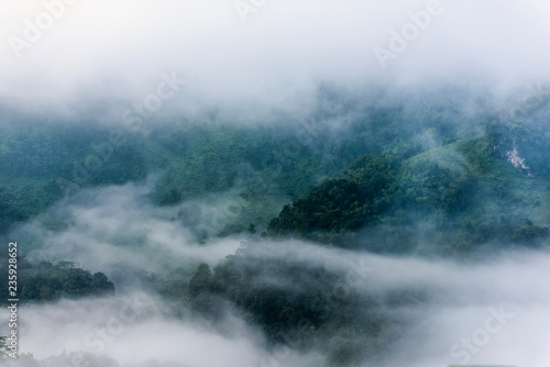 Beautiful morning panorama of forest covered by low clouds. Colored sunrise in forested mountain slope.