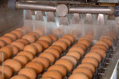 Obraz na płótnie Egg factory on washing production line with fresh eggs are prepare for package in Automate Food Processing Plant. w salonie