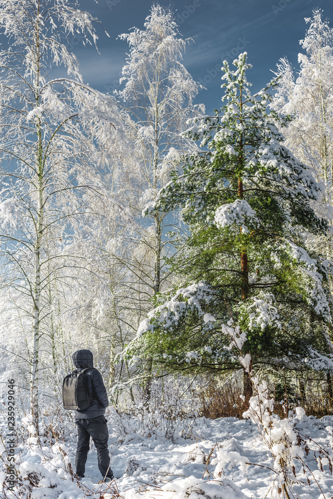 traveler in the winter forest/traveler with a backpack in the winter forest in sunny day traveler in the winter forest/traveler with a backpack in the winter forest in sunny day