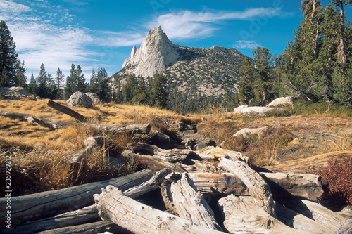 Log Jam on the Outlet of Budd Lake with Cathedral Peak as Background, Tuolumne Meadows, Yosemite National Park, California photo