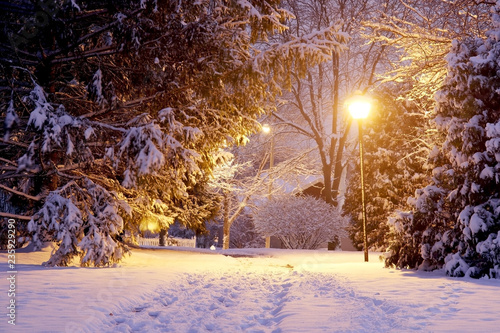 Bild auf Leinwand Scenic winter night nature background